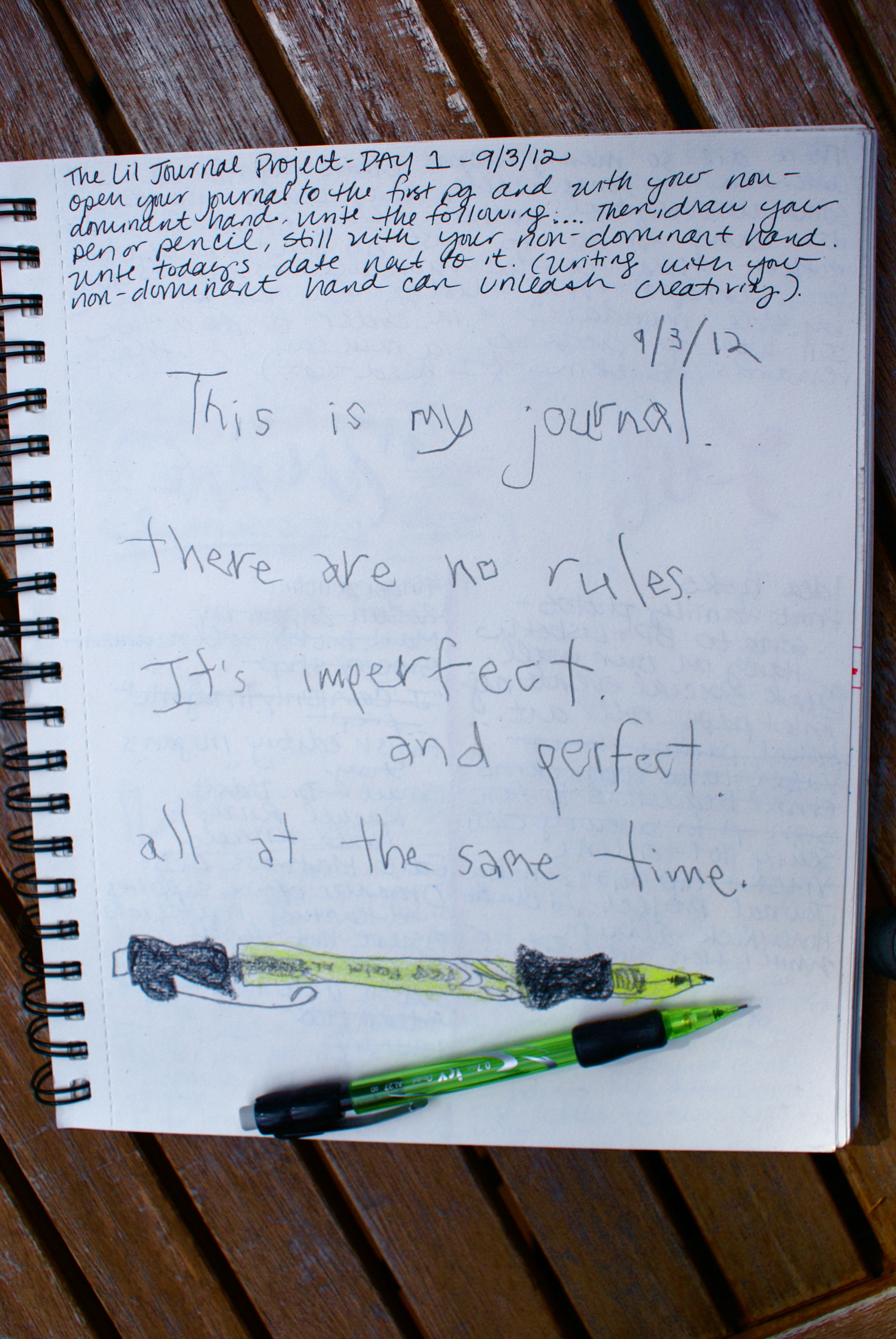 Lil Journal Project: Week 1