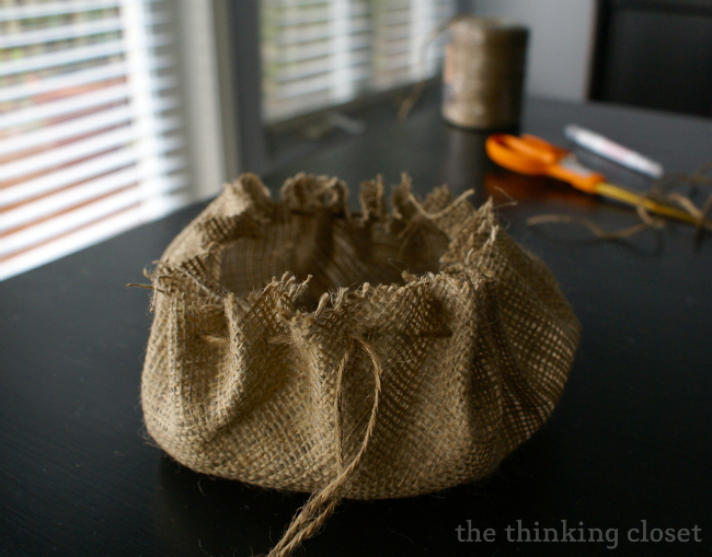 Cinched Pumpkin Cinched Pumpkin