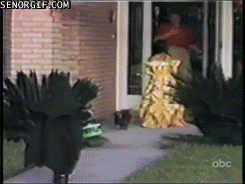Batman's kryptonite. Batman's kryptonite.