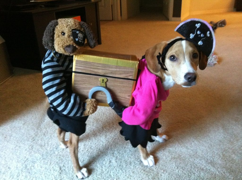 Two Pirates & Their Booty {Instructables}