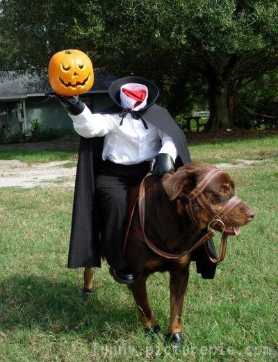 Headless Horseman Dog Headless Horseman Dog