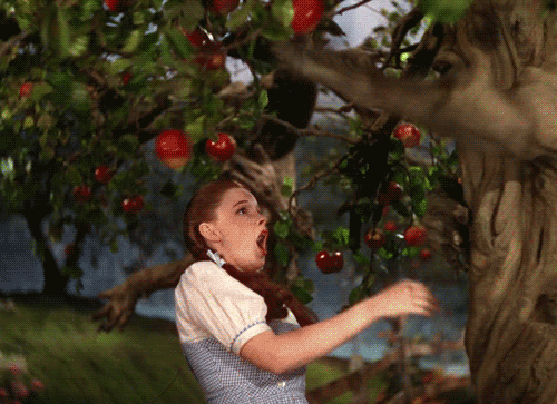 Poor Dorothy!