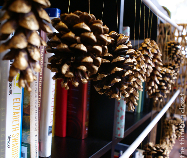 High tech pine cone drying rack. High tech pine cone drying rack.