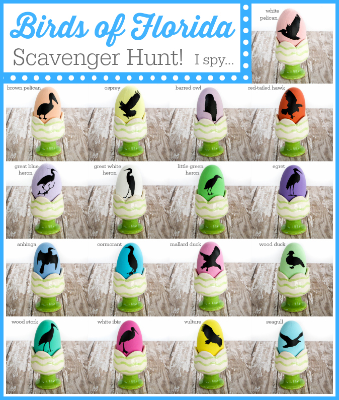Birds of Florida Scavenger Hunt: A Fun Game for Houseguests via thinkingcloset.com Birds of Florida Scavenger Hunt: A Fun Game for Houseguests via thinkingcloset.com