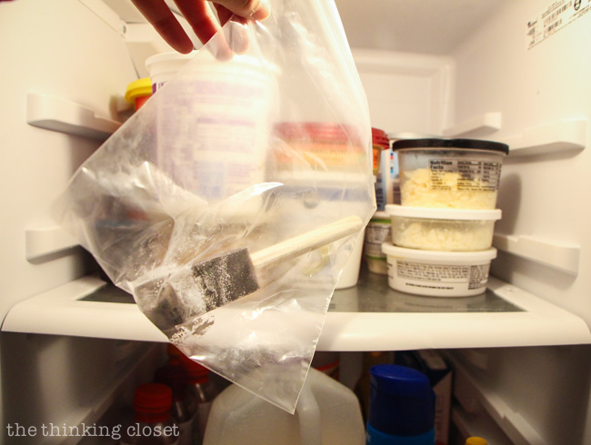 Tip #9: Store brushes and paint in the fridge in ziplock bags to hit the "pause" button on your project! Come back to your project the next day and your brush will be ready to go.