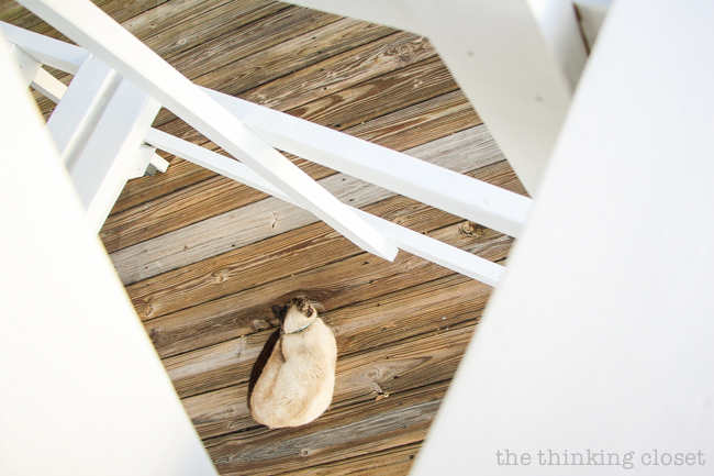 My One Word for 2015: SURRENDER | reflections by the thinking closet My One Word for 2015: SURRENDER | reflections by the thinking closet