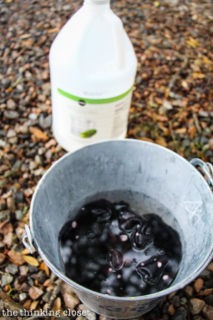 Rinsing out your scarf in a vinegar and water mixture, step 7 in the process of creating your DIY Galaxy Print Infinity Scarf--just another fun t-shirt upcycle during Scarf Week 2015! Rinsing out your scarf in a vinegar and water mixture, step 7 in the process of creating your DIY Galaxy Print Infinity Scarf--just another fun t-shirt upcycle during Scarf Week 2015!