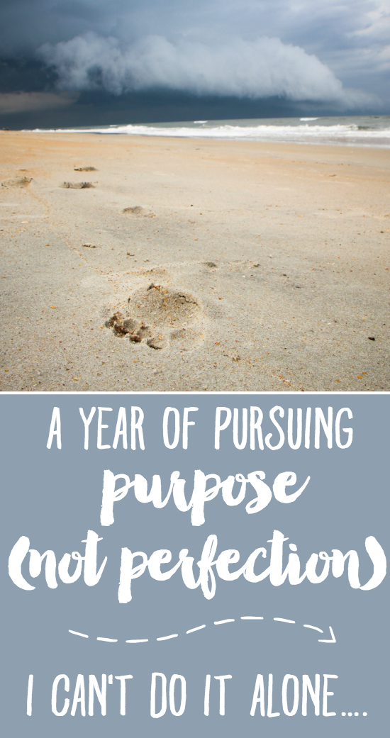 A Year of Pursuing Purpose (Not Perfection): I Can't Do It Alone | What one recovering perfectionist is learning about the value of having less on her plate, but being able to pursue it wholeheartedly, with purpose and intention. Prepare to be inspired....
