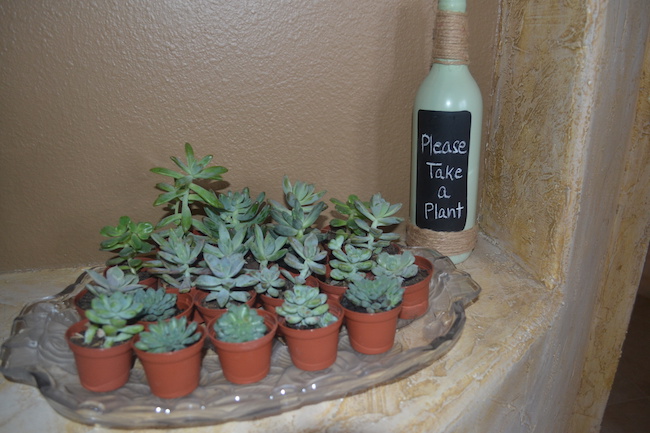 Charming Mint & Gray Baby Shower | Inspiration for planning a meaningful baby shower for a mom-to-be with creative ideas for decor, food, games, activities, a guest book, favors, and more! Here's a glimpse at the mini succulent favors that guests got to take home! Perfect for the mint color scheme.