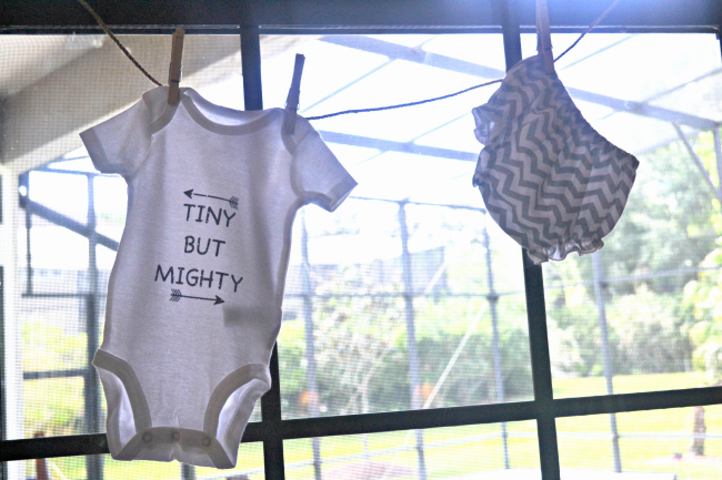 Charming Mint & Gray Baby Shower | Inspiration for planning a meaningful baby shower for a mom-to-be with creative ideas for decor, food, games, activities, a guest book, favors, and more! Here's a glimpse at the decor that perfectly matched the mint and gray color palette!