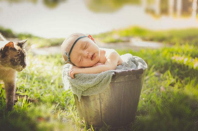 Juniper's 2 week newborn photography shoot: adorable hair bows, muslin swaddles, and a sweet smiling baby in a bucket. Brace yourself for the cuteness!