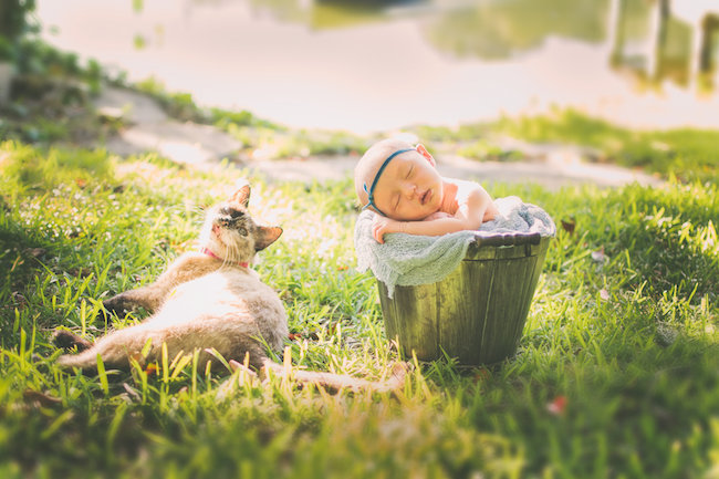 Juniper's 2 week newborn photography shoot: adorable hair bows, muslin swaddles, and a sweet smiling baby in a bucket. Brace yourself for the cuteness!