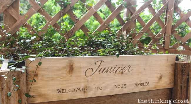"Little Adventurer" Nursery Tour | An inspirational space with vintage-modern furniture, travel-themed decor, and a gender-neutral color palette of mint, gray, and white. How sweet is this window box of jasmine outside the nursery window? Such a loving message welcoming Juniper to her wonderful, wild world!