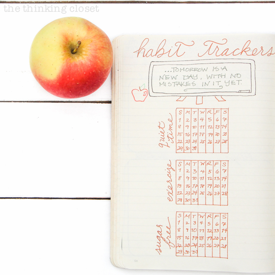 "Anne of Green Gables" Themed Bullet Journal & "Plan With Me" VIDEO | Join me for another "plan with me" video where I set up my bullet journal for a new month using an "Anne of Green Gables" or "Anne with an E" theme for book lovers, Megan Follows film fanatics, and Netflix series fans alike! I'll create a new title page, monthly log, monthly task list, habit tracker, mood tracker, prayer log, weekly logs, and dailies! So much Anne-spiration awaits!