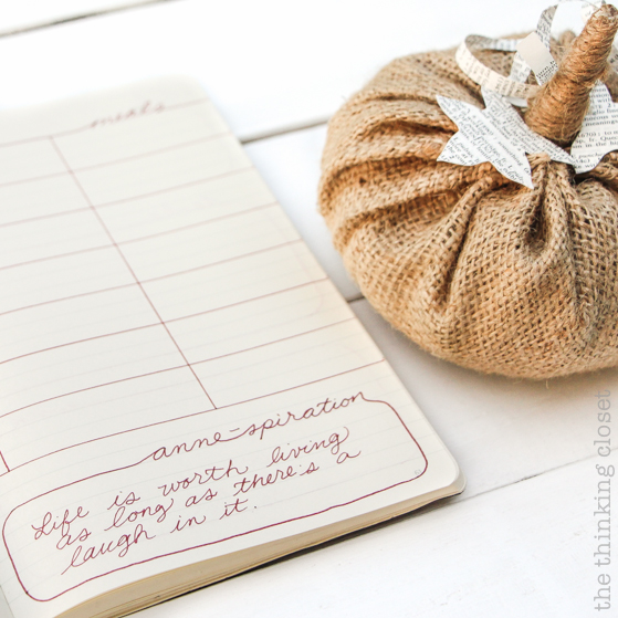 "Anne of Green Gables" Themed Bullet Journal & "Plan With Me" VIDEO | Join me for another "plan with me" video where I set up my bullet journal for a new month using an "Anne of Green Gables" or "Anne with an E" theme for book lovers, Megan Follows film fanatics, and Netflix series fans alike! I'll create a new title page, monthly log, monthly task list, habit tracker, mood tracker, prayer log, weekly logs, and dailies! So much Anne-spiration awaits!