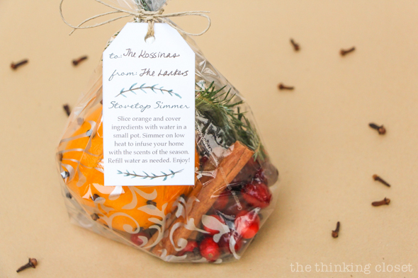 Stovetop Simmer Satchels & FREE Custom Gift Tag | Evidence that inexpensive and last-minute gifts can be meaningful! Here's everything you need from supplies to assembly instructions to the adorable holiday gifts tags with instructions for the recipient (yep, they're FREE). If Christmas had a scent, this would be it! Yum yum yum.