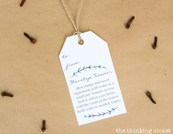 Stovetop Simmer Satchels & FREE Custom Gift Tag | Evidence that inexpensive and last-minute gifts can be meaningful! Here's everything you need from supplies to assembly instructions to the adorable holiday gifts tags with instructions for the recipient (yep, they're FREE). If Christmas had a scent, this would be it! Yum yum yum.