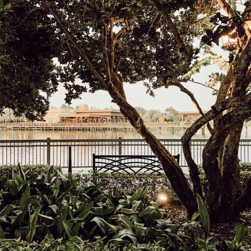 The very Bench at Disney's Coronado Springs Resort where I discovered my "One Word for 2020!"