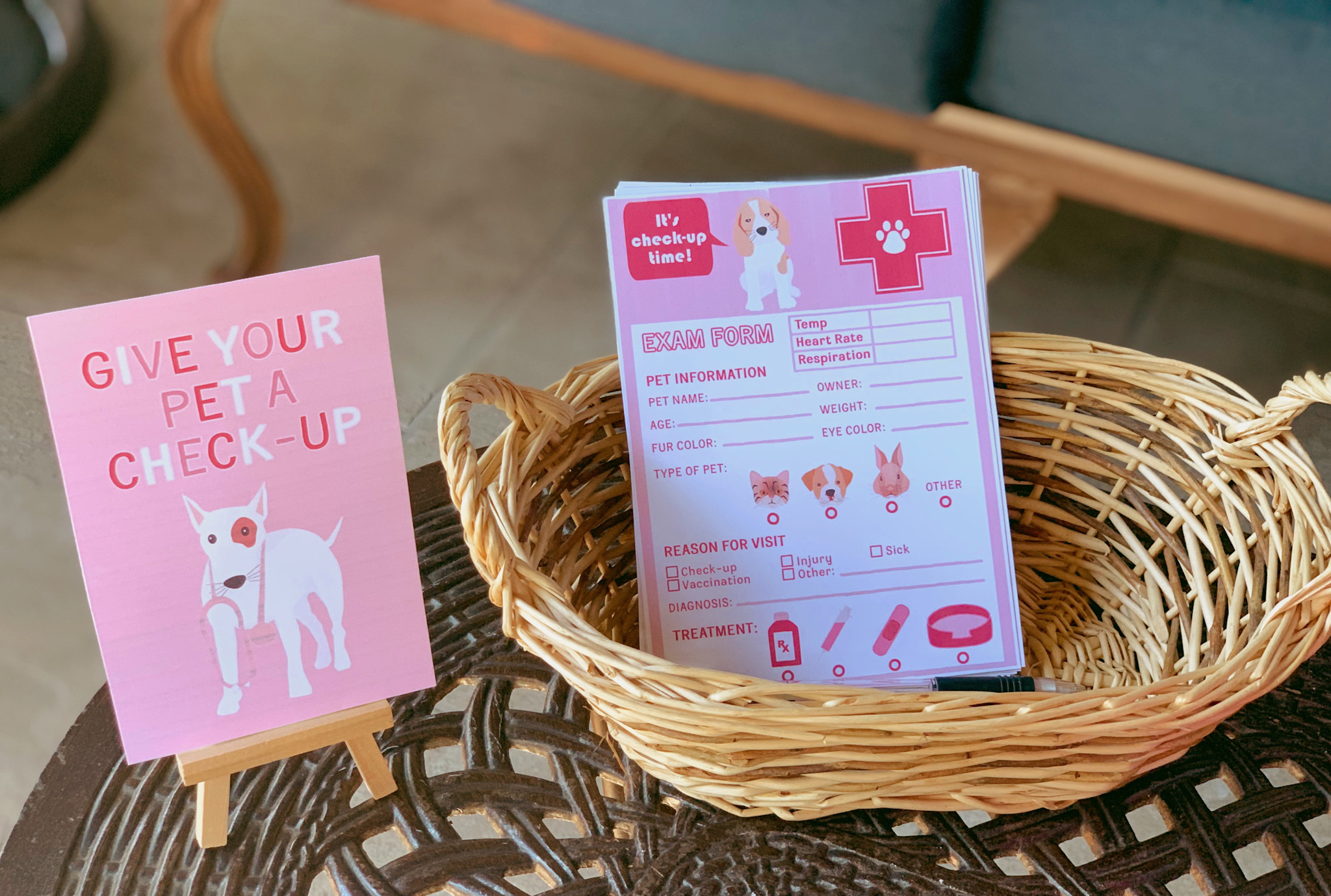 Pepper's 2nd Birthday "Puppy Paw-ty!" Creative party ideas via thinkingcloset.com - How to host a puppy-themed pawty with an adopt a puppy activity fun for all ages! The third station was where they gave their new pets a check-up!