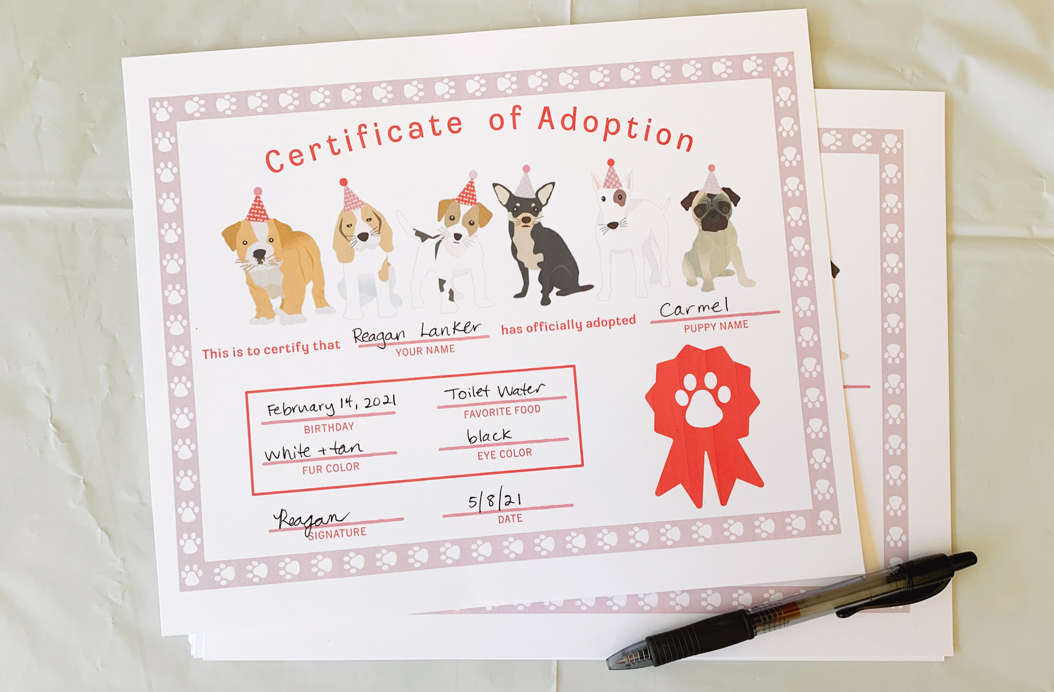 Pepper's 2nd Birthday "Puppy Paw-ty!" Creative party ideas via thinkingcloset.com - How to host a puppy-themed pawty with an adopt a puppy activity fun for all ages! The last step was to sign their adoption certificate!